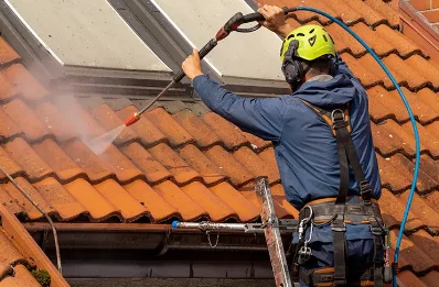 Démoussage et hydrofuge de toiture à Gleizé